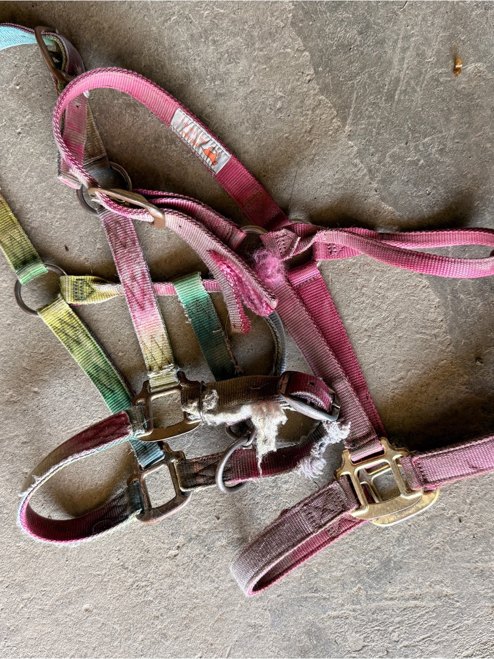 Two pony halters